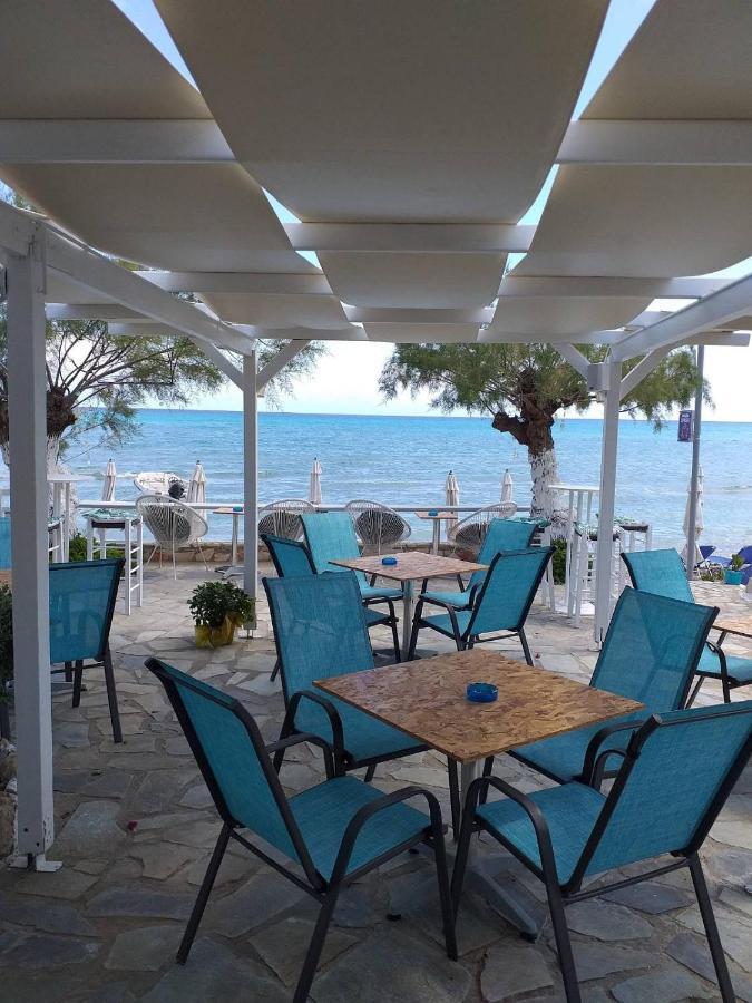 Golden Dolphin Studios & Apartments Αλυκών Εξωτερικό φωτογραφία