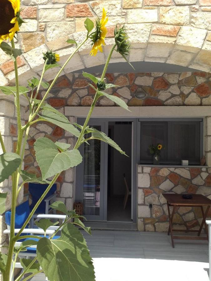 Golden Dolphin Studios & Apartments Αλυκών Εξωτερικό φωτογραφία