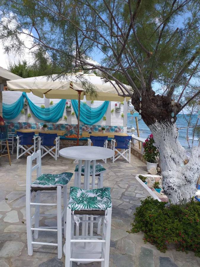 Golden Dolphin Studios & Apartments Αλυκών Εξωτερικό φωτογραφία